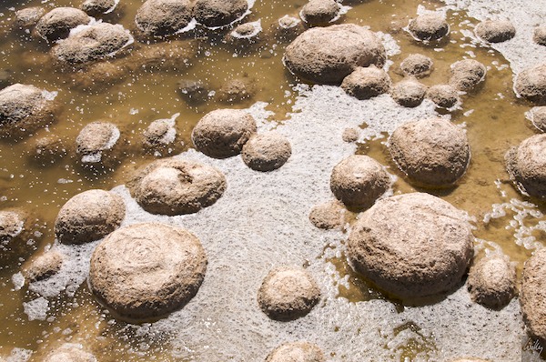 AustraliaPerth 10  082